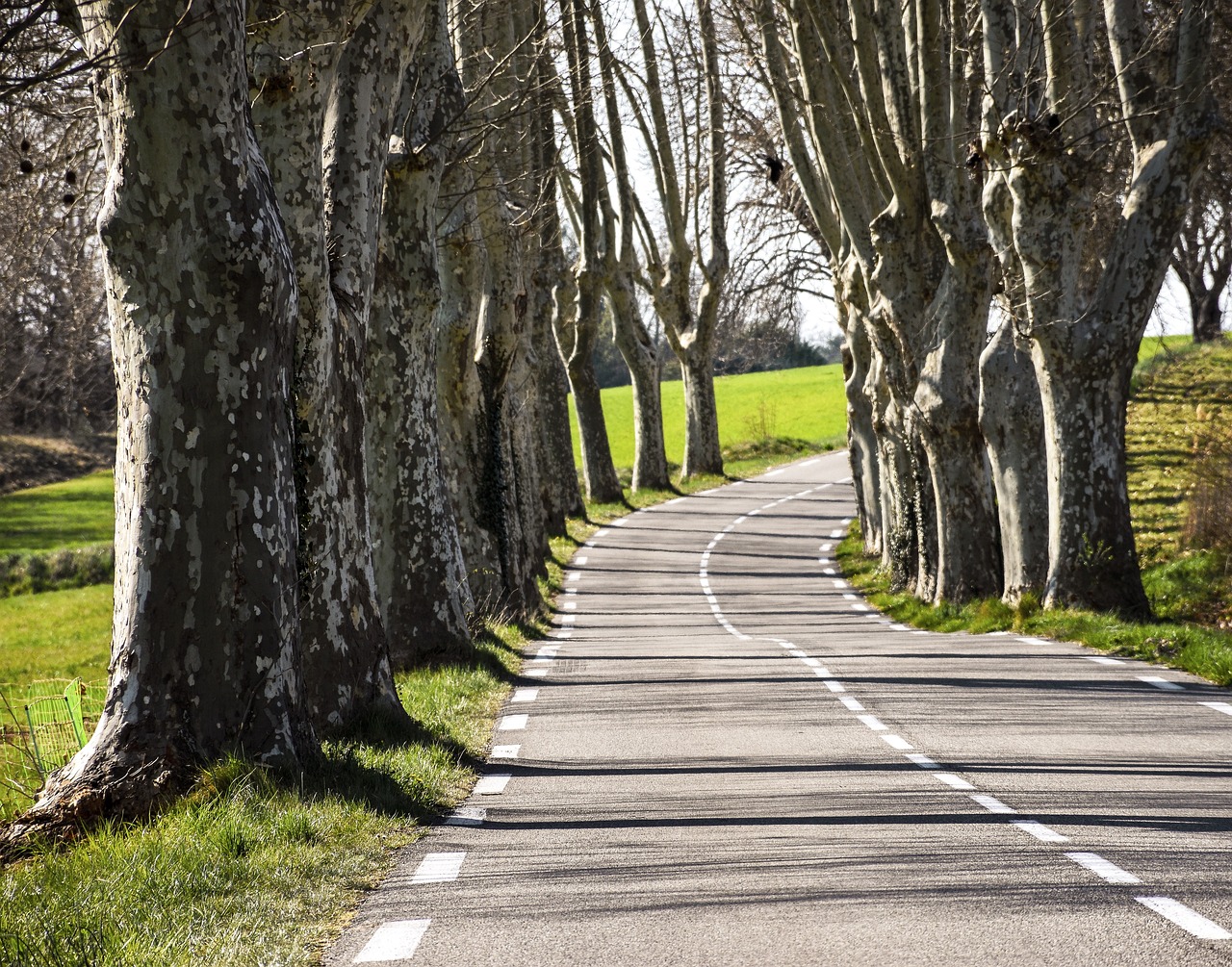 The Most Scenic Drives in New Zealand